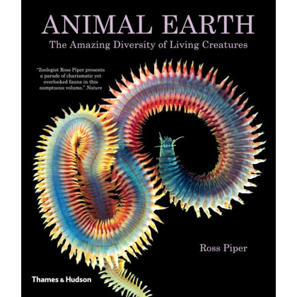Animal Earth: The Amazing Diversity of Living Creatures