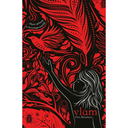 Vlam (Inkt-trilogie, 2)