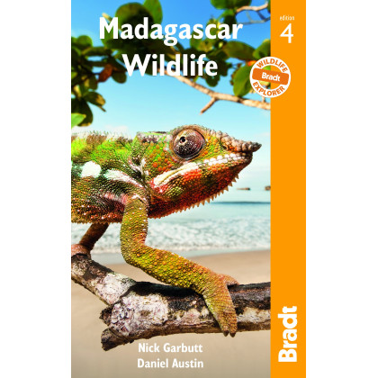 Madagascar Wildlife (Bradt Guides)