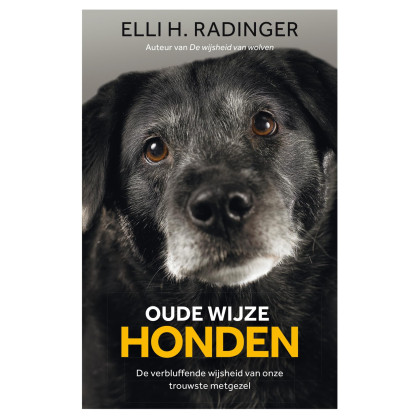 Oude wijze honden: de verbluffende wijsheid van onze trouwste metgezel