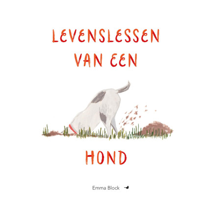 Levenslessen van een hond