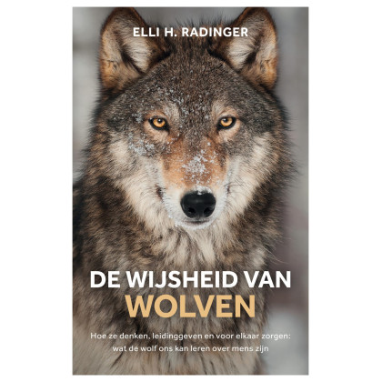 De wijsheid van wolven: hoe ze denken, leidinggeven en voor elkaar zorgen : wat de wolf ons kan leren over mens zijn
