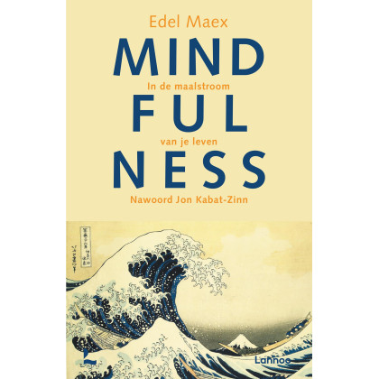 Mindfulness: in de maalstroom van je leven