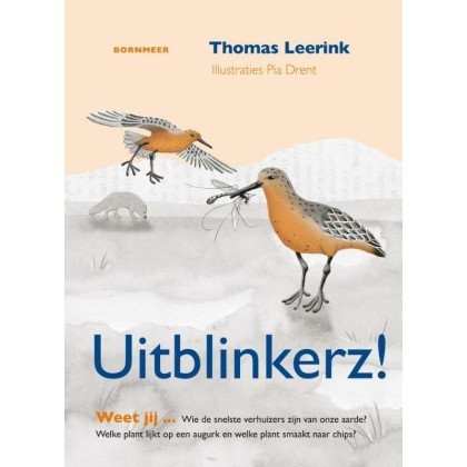 Uitblinkerz! (Dutch Edition)