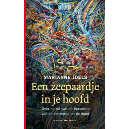 Een zeepaardje in je hoofd
