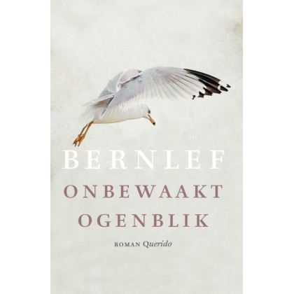 Onbewaakt ogenblik