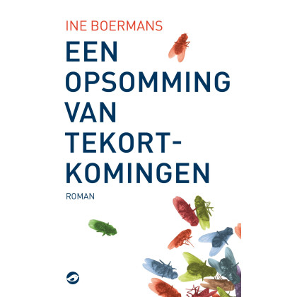 Een opsomming van tekortkomingen