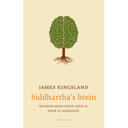 Siddhartha's brein: waarom mediteren goed is voor je hersenen